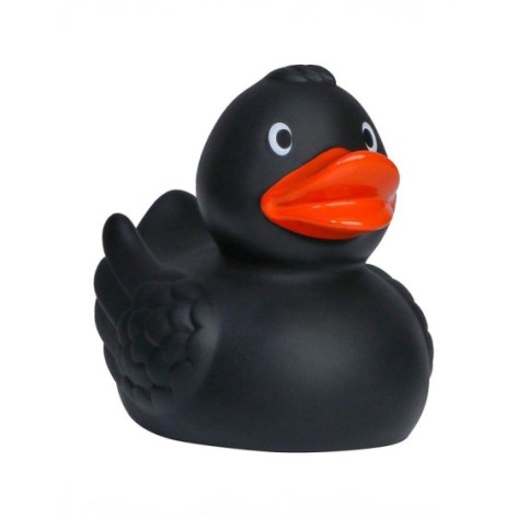 Squeaky duck