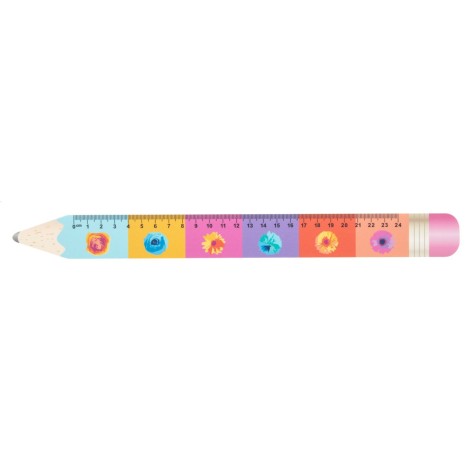 Righello 24cm, matita