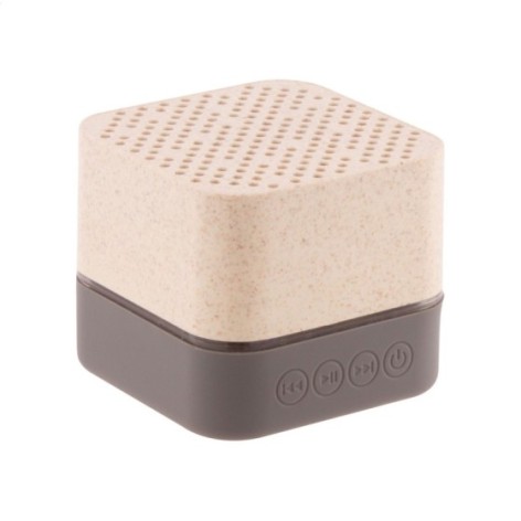 altoparlante wireless