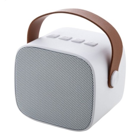 Cassa bluetooth in RABS