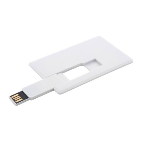 Chiavetta USB in RABS