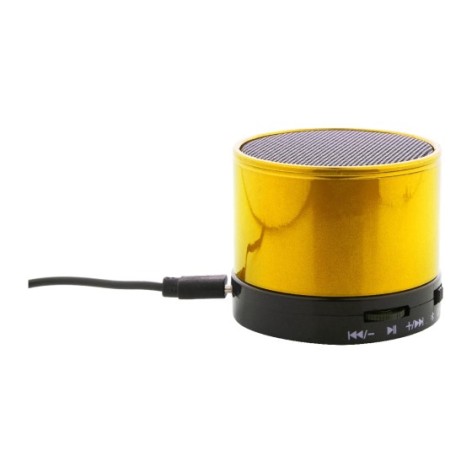 altoparlante wireless