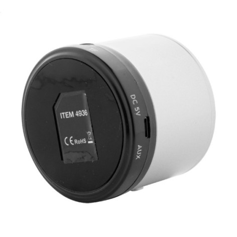 altoparlante wireless