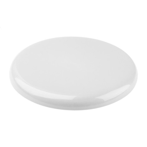 frisbee