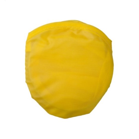 frisbee