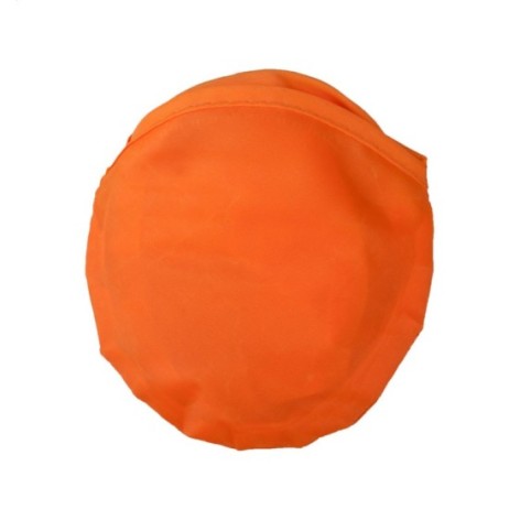 frisbee