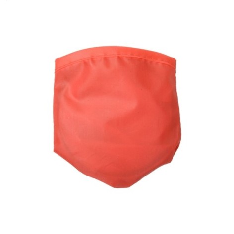 frisbee