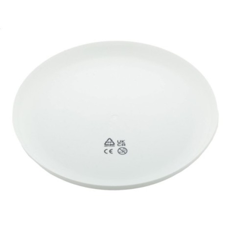 frisbee