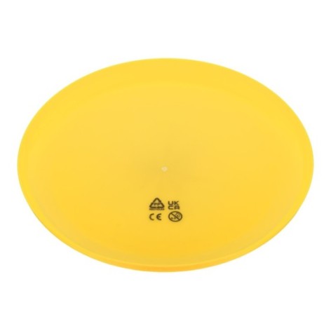 frisbee