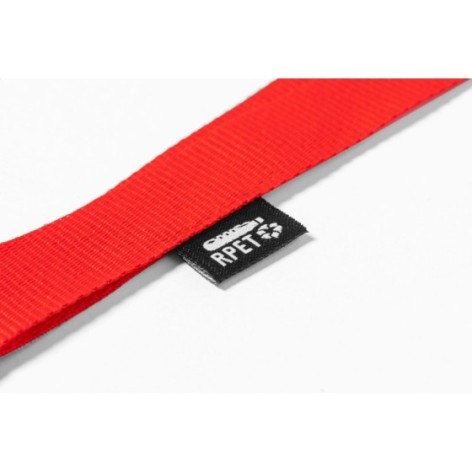 lanyard
