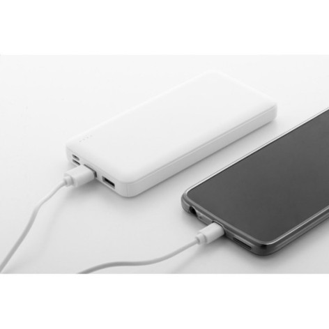 Power bank in RABS