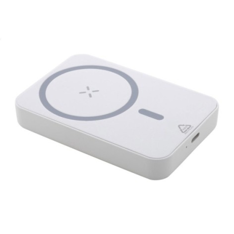 Power Bank in RABS