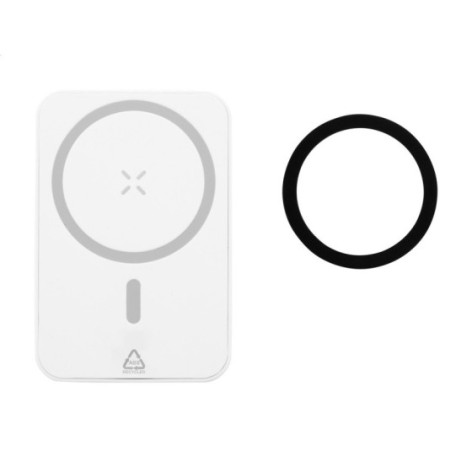 Power Bank in RABS