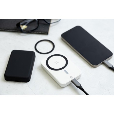 Power Bank in RABS