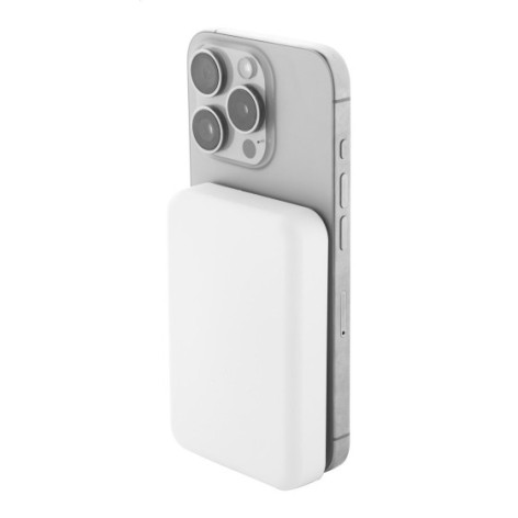 Power Bank in RABS