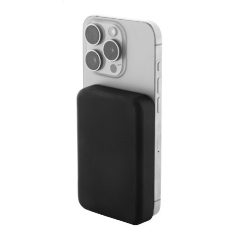 Power Bank in RABS