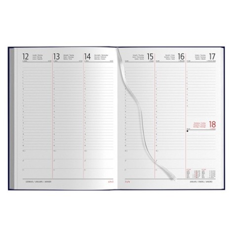 AGENDA SETTIMANALE MAXI