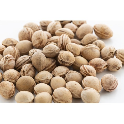 Cuscino con noccioli di ciliegia
