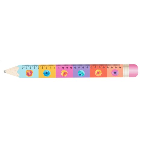 Righello 24cm, matita