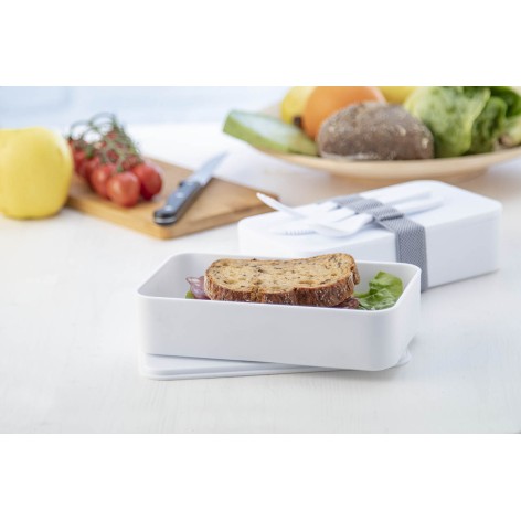contenitore antibatterico per il pranzo
