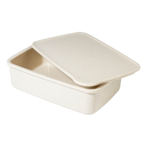 contenitore per il pranzo