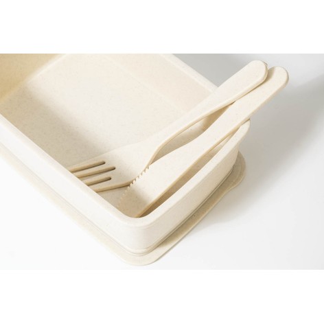 contenitore per il pranzo