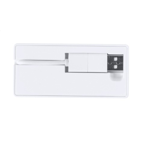 USB hub in RABS