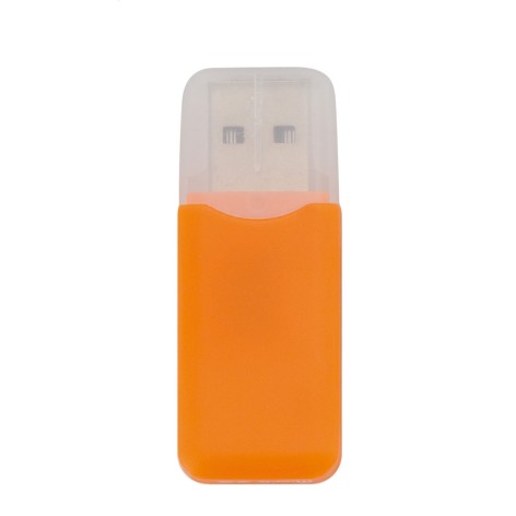 lettore di memory card