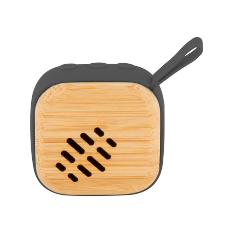 altoparlante wireless