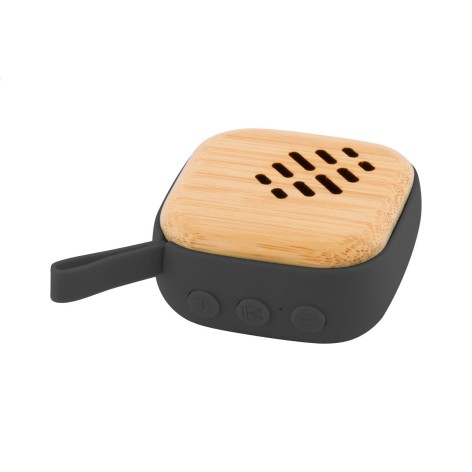 altoparlante wireless
