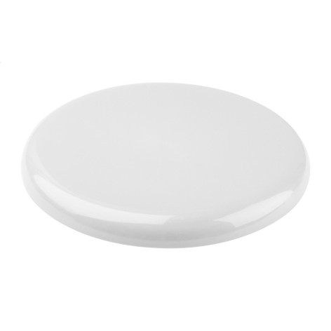 frisbee