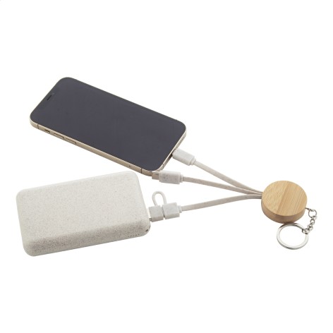 portachiavi con cavi di ricarica USB