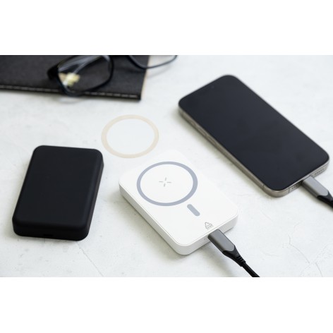 Power Bank in RABS