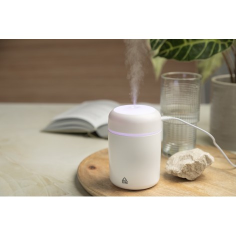 Umidificatore in RABS