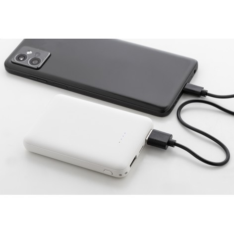 Power bank in RABS