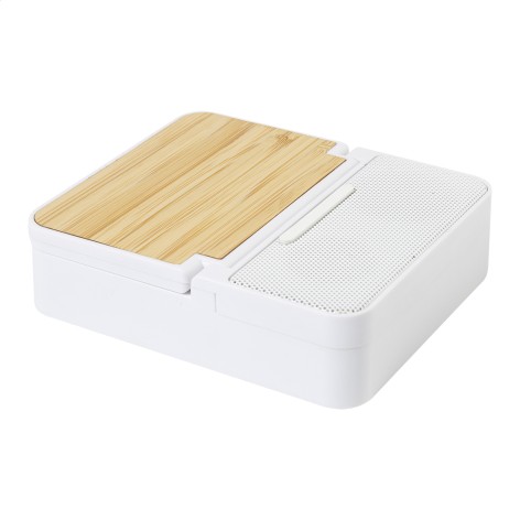 Cassa wireless in RABS con caricatore