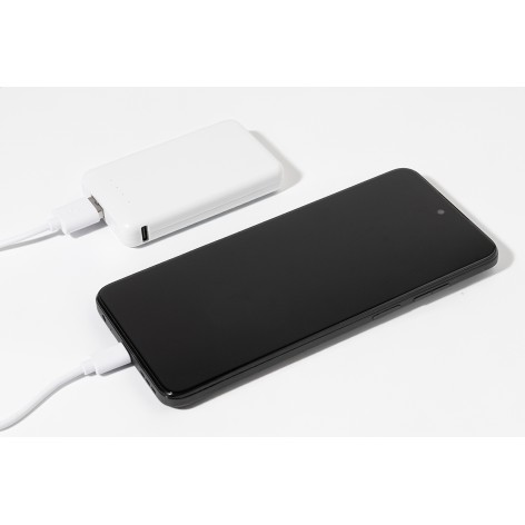 Power bank in RABS