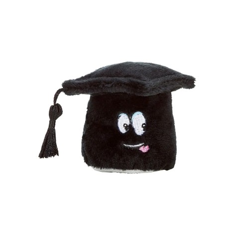 SchmooziesÂ® graduates hat