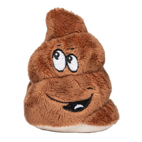 Mini Poo