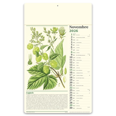 ERBORISTERIA