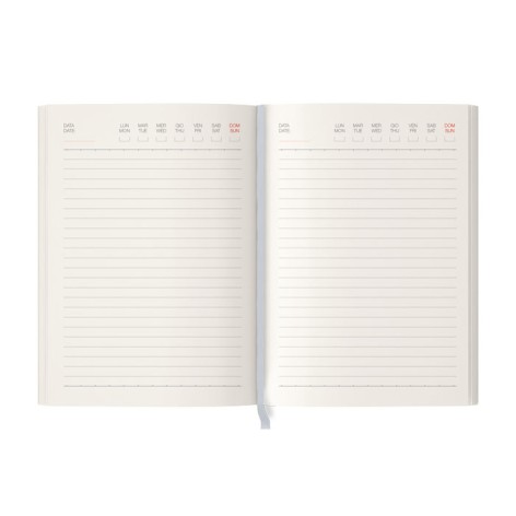 AGENDA GIORNALIERA