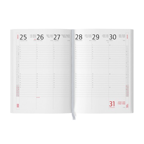 AGENDA SETTIMANALE