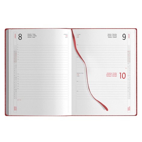AGENDA GIORNALIERA