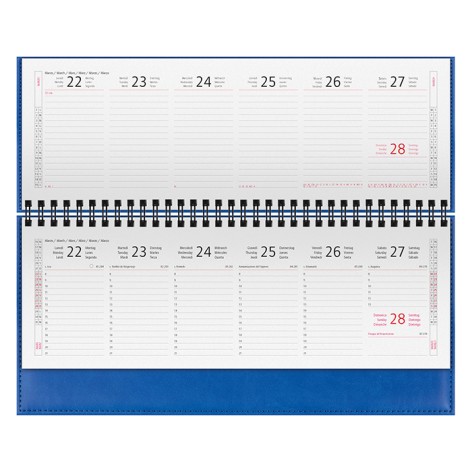 PLANNING TERMOVIRANTE