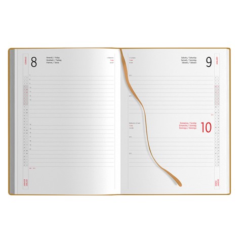 AGENDA GIORNALIERA