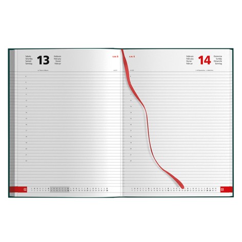 AGENDA GIORNALIERA MAXI