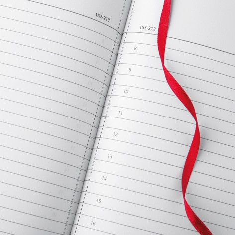 AGENDA GIORNALIERA MAXI