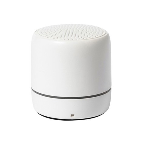 RABS SPEAKER