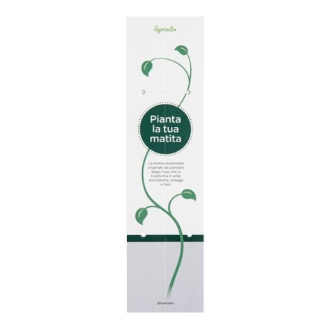 ASTUCCIO SPROUT