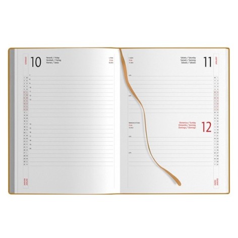 AGENDA GIORNALIERA